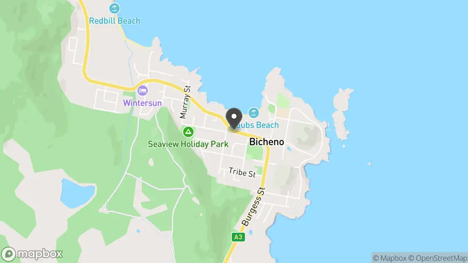 Map showing the location of Harvey Vin in Bicheno